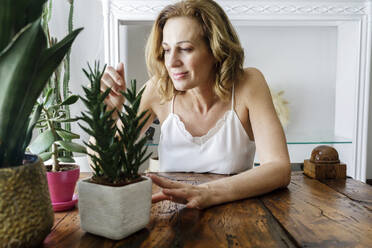 Smiling woman looking at houseplants at home - RFTF00295