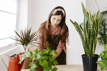 Woman gardening standing by potted plants on table at home - JCZF01049