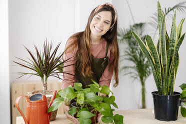 Smiling woman holding houseplant at table - JCZF01050