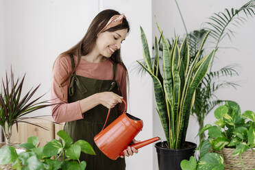 Glückliche Frau beim Gießen von Pflanzen zu Hause - JCZF01054