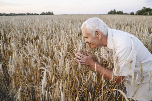 Smiling senior farmer smelling wheat crops in farm - EYAF02058