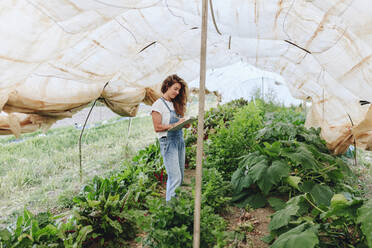 Lächelnder Landarbeiter mit Klemmbrett bei der Inventur von Gemüse im Gewächshaus - MRRF02380