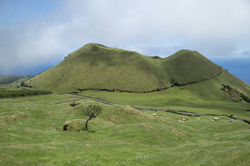 Portugal, Azores, Green hills of Pico Island - HLF01301