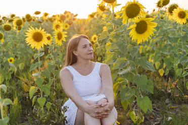 Nachdenkliche Frau sitzt inmitten von Sonnenblumen auf einem Feld - OSF00723