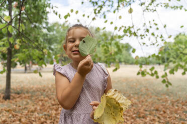 Verspieltes Mädchen schaut durch ein Blätterloch im Park - TOF00045