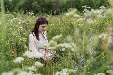 Freelancer working on laptop amidst wildflowers - OSF00755