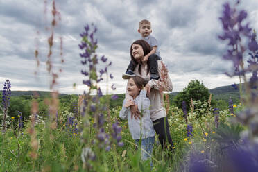 Mother with son on shoulders by daughter in lupine flowers meadow - OSF00790