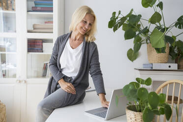 Smiling freelancer using laptop sitting on desk at home office - SVKF00508