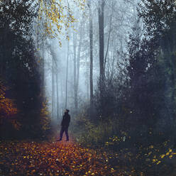 Mann blickt auf Bäume beim Wandern im Wald - DWIF01221