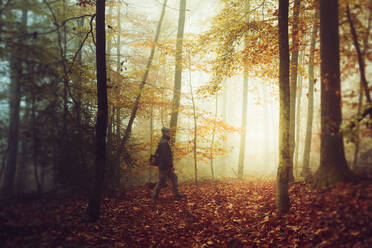 Älterer Mann beim Wandern im Herbstwald - DWIF01227