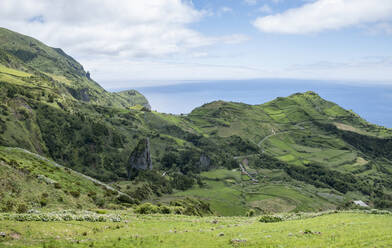 Portugal, Azoren, Grüne Landschaft der Insel Flores - HLF01324