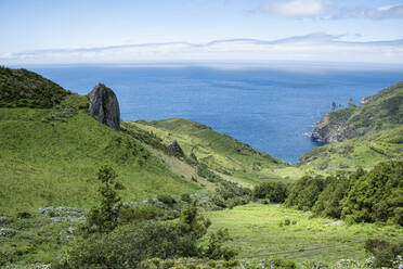 Portugal, Azoren, Grüne Landschaft der Insel Flores - HLF01325
