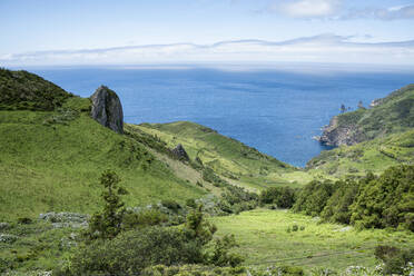 Portugal, Azores, Green landscape of Flores Island - HLF01325