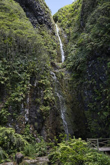 Portugal, Azoren, Kleiner Wasserfall auf der Insel Flores - HLF01327
