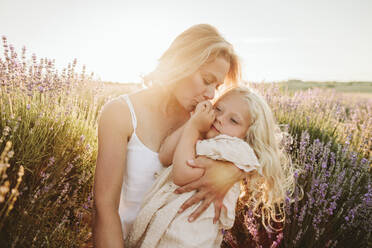 Mother kissing and embracing daughter in lavender field on sunset - SIF00378
