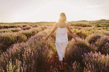Frau berührt Lavendelblüten auf einem Feld bei Sonnenuntergang - SIF00381