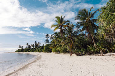 Malediven, Kolhumadulu Atoll, Tropischer Strand der Insel Kanimeedhoo - KNTF06813