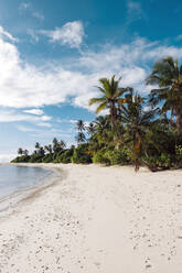 Maldives, Kolhumadulu Atoll, Tropical beach of Kanimeedhoo island - KNTF06814