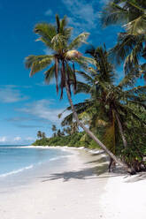 Maldives, Kolhumadulu Atoll, Tropical beach of Kanimeedhoo island - KNTF06817