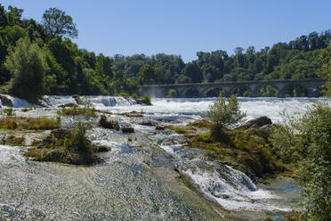 Schweiz, Kanton Schaffhausen, Rheinfall mit Bogenbrücke im Hintergrund - WIF04566