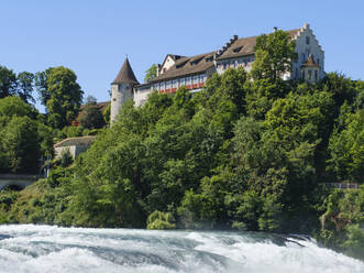 Schweiz, Kanton Zürich, Laufen-Uhwiesen, Grüne Bäume zwischen Rheinfall und Schloss Laufen - WIF04569