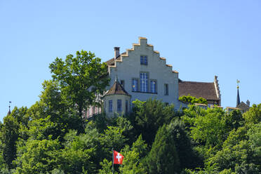 Schweiz, Kanton Zürich, Laufen-Uhwiesen, Schloss Laufen, umgeben von grünen Bäumen - WIF04570