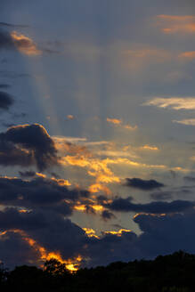 Von der untergehenden Sonne beleuchtete Wolken - NDF01509
