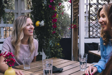 Smiling businesswoman having discussions in restaurant - AMWF00404