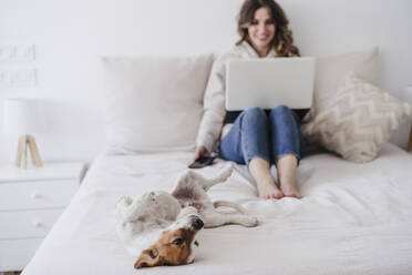 Hund auf dem Bett liegend bei einer Frau mit Laptop im Hintergrund - EBBF06009