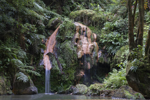 Portugal, Azoren, Wasserfall Caldeira Velha auf der Insel Sao Miguel - HLF01336