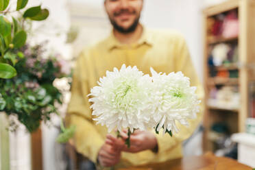 Florist mit frischer Chrysanthemenblüte im Blumenladen - MRRF02400