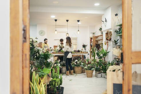 Floristen, die in einem Blumenladen arbeiten, gesehen durch die Türöffnung - MRRF02411