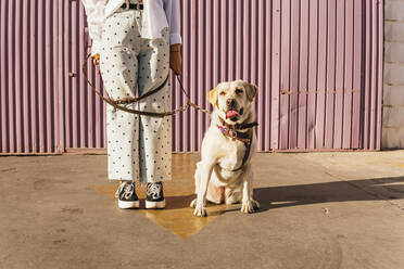 Frau stehend auf Pfeilsymbol mit Labrador Retriever Hund - MGRF00769