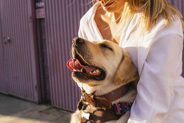 Woman embracing Labrador Retriever from behind - MGRF00777