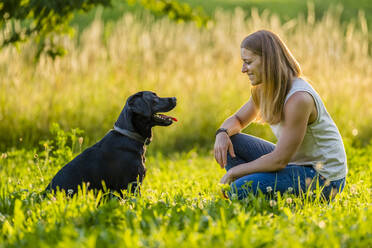 Glückliche Frau mit schwarzem Labrador auf einer Wiese - STSF03477