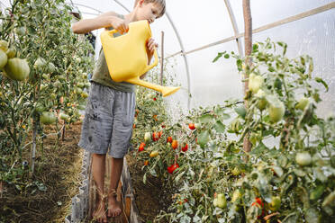 Boy watering plants in greenhouse - EYAF02078