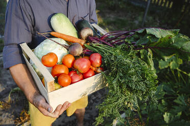 Man holding freshly harvested vegetables in crate - EYAF02085