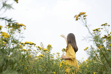 Girl pointing at sky standing in field - LESF00008
