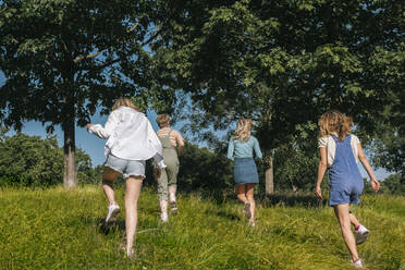 Friends running together towards trees at park - AMWF00626