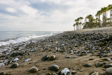 Strandlandschaft mit Palmen und Steinen - EGHF00528