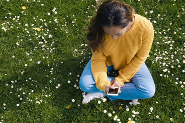 Woman using smart phone sitting on grass at park - AMWF00686