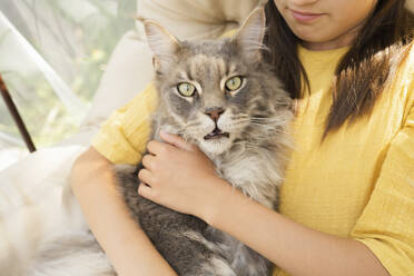 Maine Coon Katze mit Mädchen auf Hängesessel - LESF00078