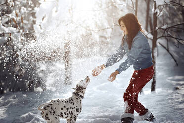 Playful woman with Dalmatian dog in snow at park - AZF00437