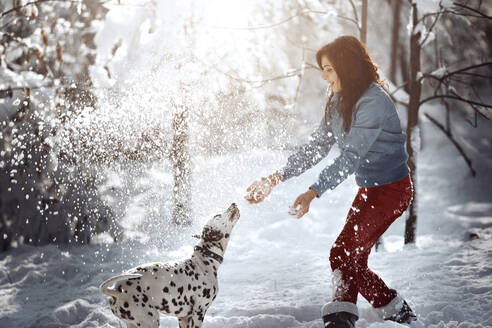 Verspielte Frau mit Dalmatinerhund im Schnee im Park - AZF00437
