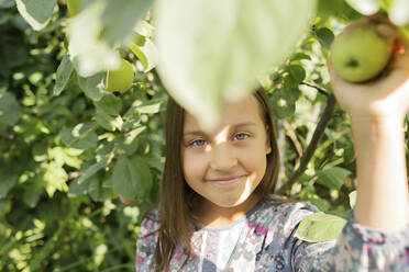 Smiling girl holding apple on tree - LESF00099