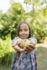Mädchen mit schalenförmigen Händen, die einen frischen Apfel im Garten halten - LESF00101