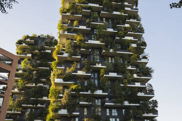 Grüner vertikaler Garten in einer modernen Wohnung - JCCMF07159