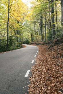 Kurvenreiche Straße inmitten von Bäumen in Fageda D'en Jorda, Olot, Girona, Spanien - MMPF00275