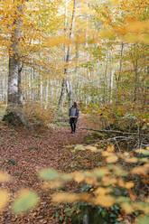 Frau stehend im Nationalpark Fageda D'en Jorda, Olot, Girona, Spanien - MMPF00277