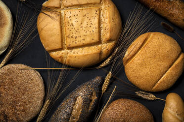 Top view background of assorted bread loaves and baguette placed near heap of wheat spikes on black surface in studio - ADSF36608